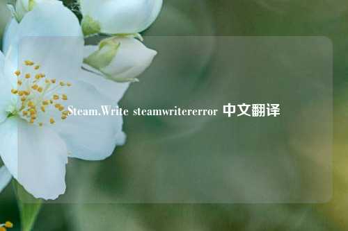 Steam.Write steamwritererror 中文翻译