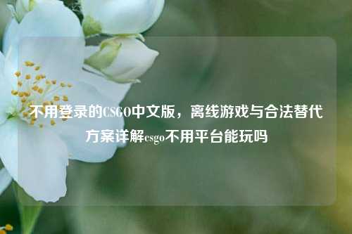 不用登录的CSGO中文版，离线游戏与合法替代方案详解csgo不用平台能玩吗