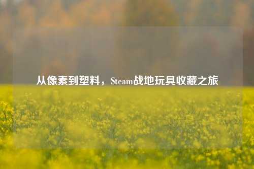 从像素到塑料，Steam战地玩具收藏之旅