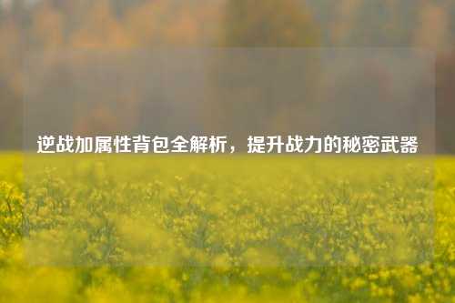 逆战加属性背包全解析，提升战力的秘密武器