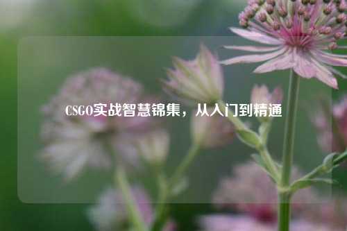 CSGO实战智慧锦集，从入门到精通