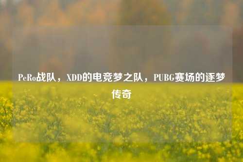PeRo战队,XDD的电竞梦之队,PUBG赛场的逐梦传奇