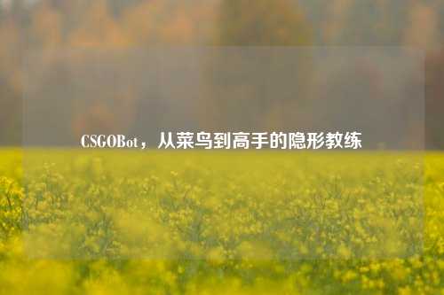 CSGOBot,从菜鸟到高手的隐形教练
