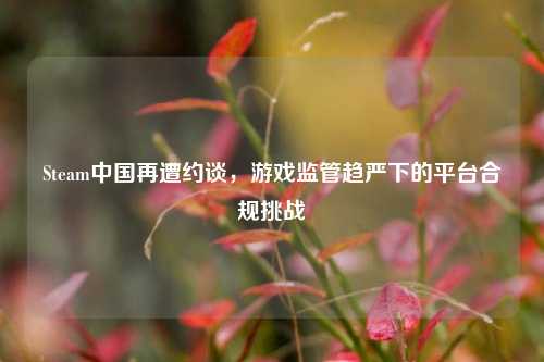 Steam中国再遭约谈,游戏监管趋严下的平台合规挑战