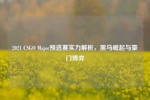 2021 CSGO Major预选赛实力解析，黑马崛起与豪门博弈