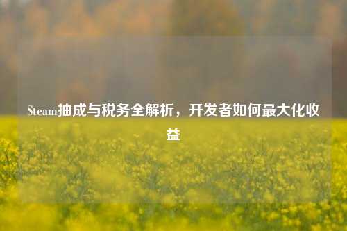 Steam抽成与税务全解析，开发者如何最大化收益