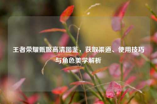 王者荣耀甄姬高清图鉴，获取渠道、使用技巧与角色美学解析