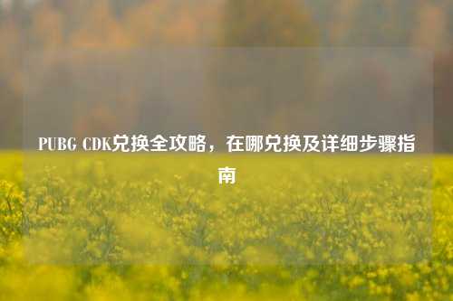 PUBG CDK兑换全攻略，在哪兑换及详细步骤指南