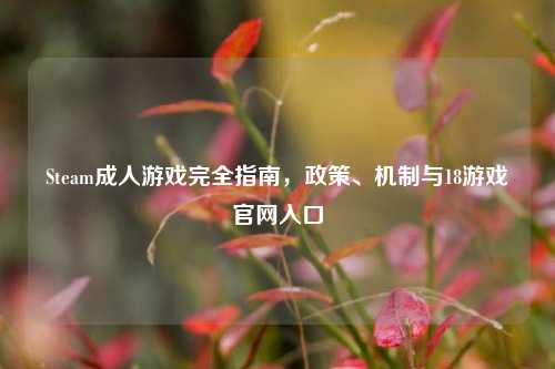 Steam成人游戏完全指南,政策、机制与18游戏官网入口