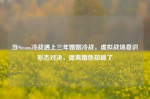 当Steam冷战遇上三年婚姻冷战,虚拟战场意识形态对决,提离婚他却跪了
