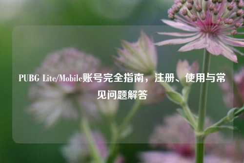 PUBG Lite/Mobile账号完全指南，注册、使用与常见问题解答