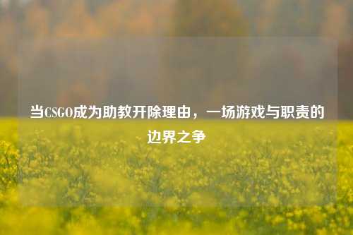 当CSGO成为助教开除理由，一场游戏与职责的边界之争