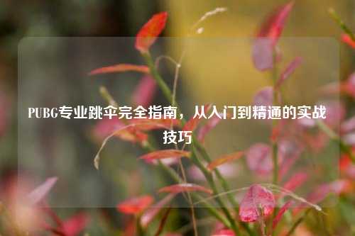 PUBG专业跳伞完全指南，从入门到精通的实战技巧