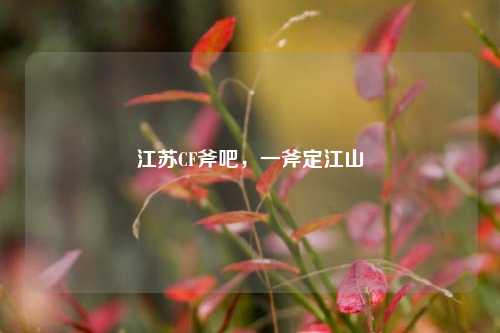 江苏CF斧吧，一斧定江山