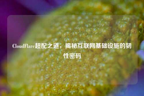 CloudFlare超配之道，揭秘互联网基础设施的韧性密码