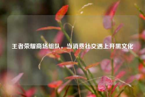 王者荣耀商场组队,当消费社交遇上开黑文化