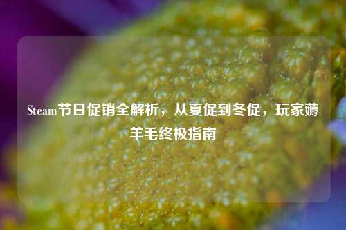 Steam节日促销全解析，从夏促到冬促，玩家薅羊毛终极指南