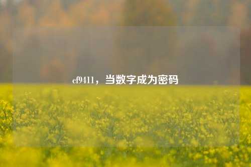 cf9411,当数字成为密码