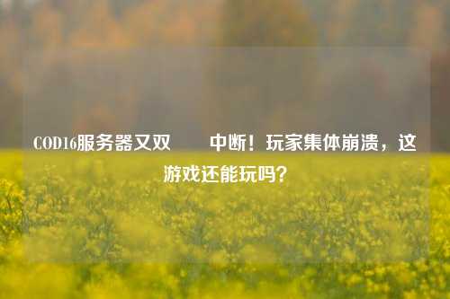COD16服务器又双叒叕中断!玩家集体崩溃,这游戏还能玩吗?