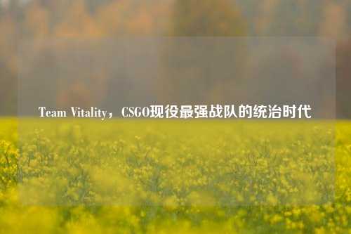 Team Vitality,CSGO现役最强战队的统治时代