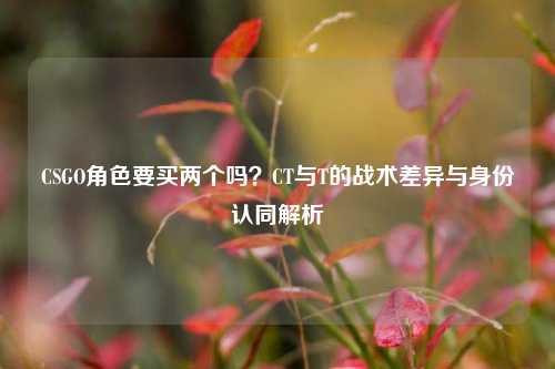 CSGO角色要买两个吗?CT与T的战术差异与身份认同解析