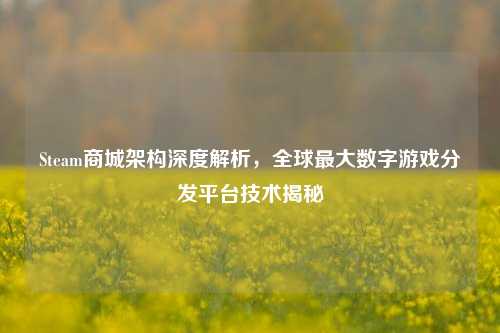 Steam商城架构深度解析,全球最大数字游戏分发平台技术揭秘
