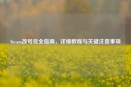 Steam改号完全指南，详细教程与关键注意事项