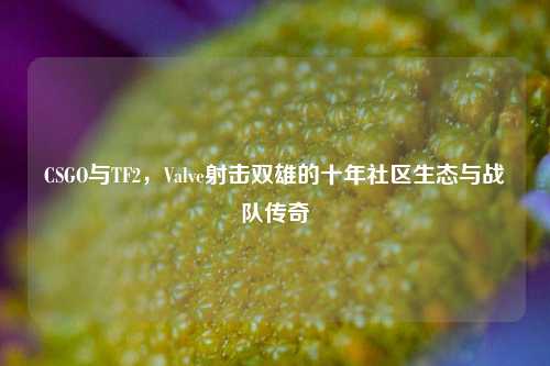 CSGO与TF2,Valve射击双雄的十年社区生态与战队传奇