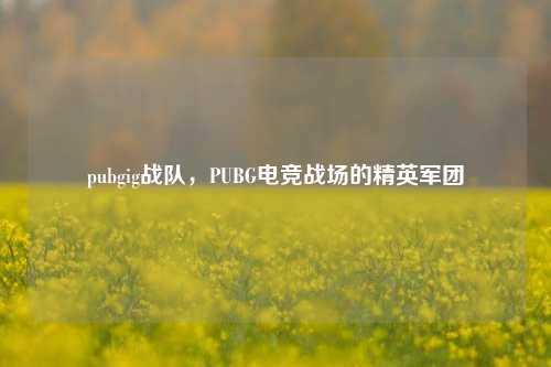 pubgig战队，PUBG电竞战场的精英军团