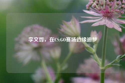 李文哲，在CS:GO赛场边缘追梦