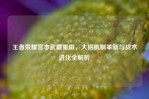 王者荣耀宫本武藏重做，大招机制革新与战术进化全解析