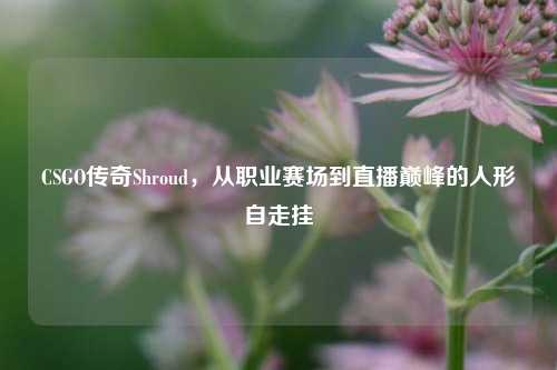 CSGO传奇Shroud，从职业赛场到直播巅峰的人形自走挂