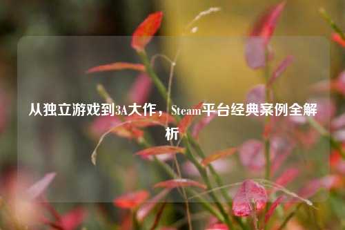 从独立游戏到3A大作,Steam平台经典案例全解析