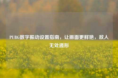 PUBG数字振动设置指南，让画面更鲜艳，敌人无处遁形