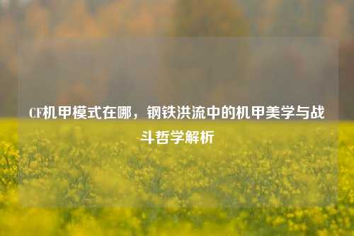 CF机甲模式在哪,钢铁洪流中的机甲美学与战斗哲学解析