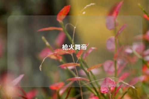 枪火舞帝