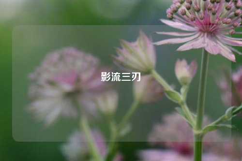 影流三刃