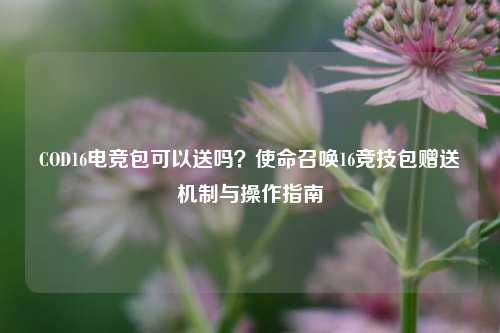 COD16电竞包可以送吗？使命召唤16竞技包赠送机制与操作指南