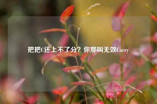 把把C还上不了分?你那叫无效Carry