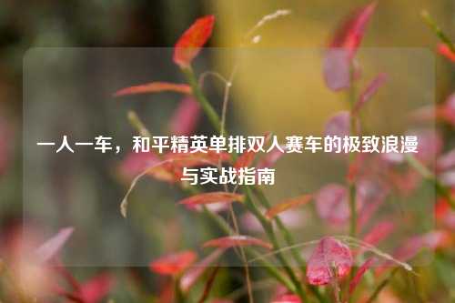 一人一车，和平精英单排双人赛车的极致浪漫与实战指南
