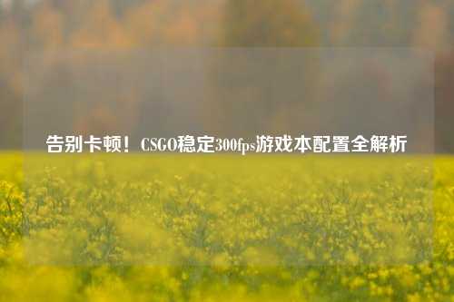 告别卡顿!CSGO稳定300fps游戏本配置全解析