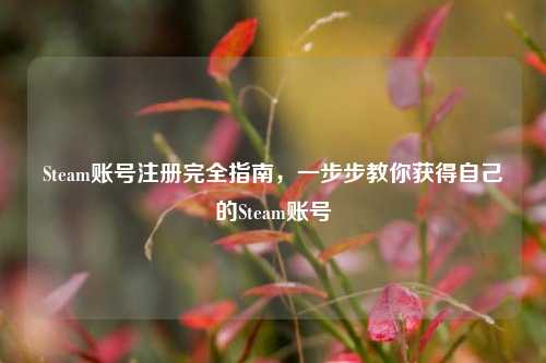 Steam账号注册完全指南，一步步教你获得自己的Steam账号