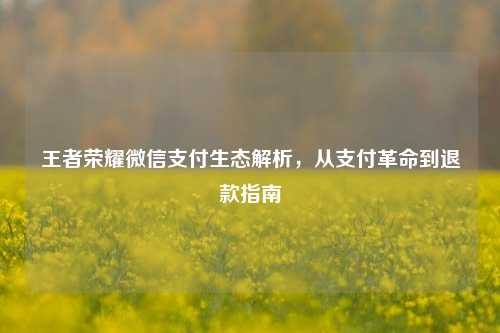 王者荣耀微信支付生态解析,从支付革命到退款指南