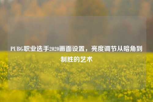 PUBG职业选手2020画面设置，亮度调节从暗角到制胜的艺术
