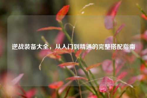 逆战装备大全，从入门到精通的完整搭配指南