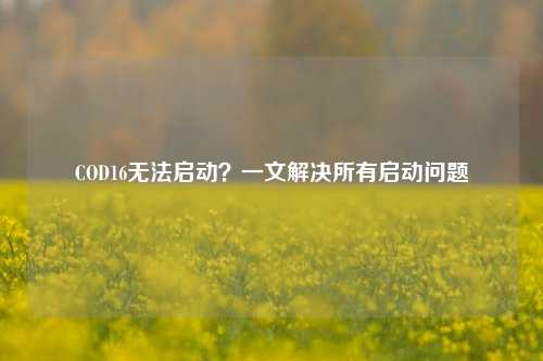 COD16无法启动？一文解决所有启动问题