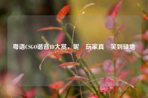 粤语CSGO谐音ID大赏，呢啲玩家真係笑到碌地