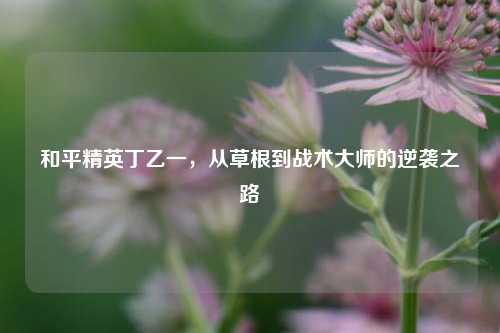 和平精英丁乙一，从草根到战术大师的逆袭之路