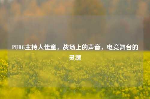 PUBG主持人佳童，战场上的声音，电竞舞台的灵魂