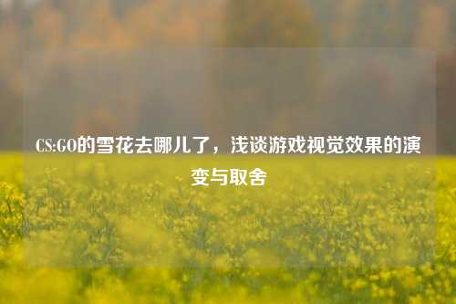 CS:GO的雪花去哪儿了,浅谈游戏视觉效果的演变与取舍
